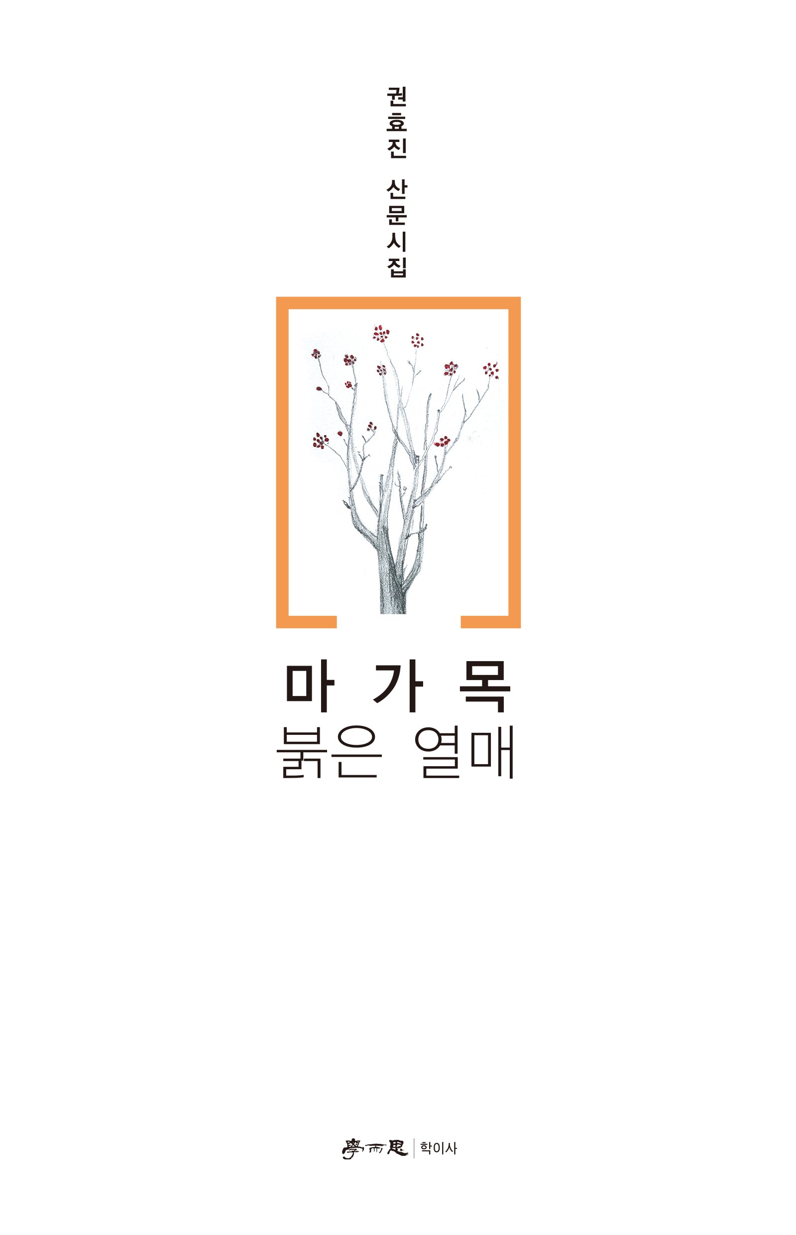 마가목 붉은 열매