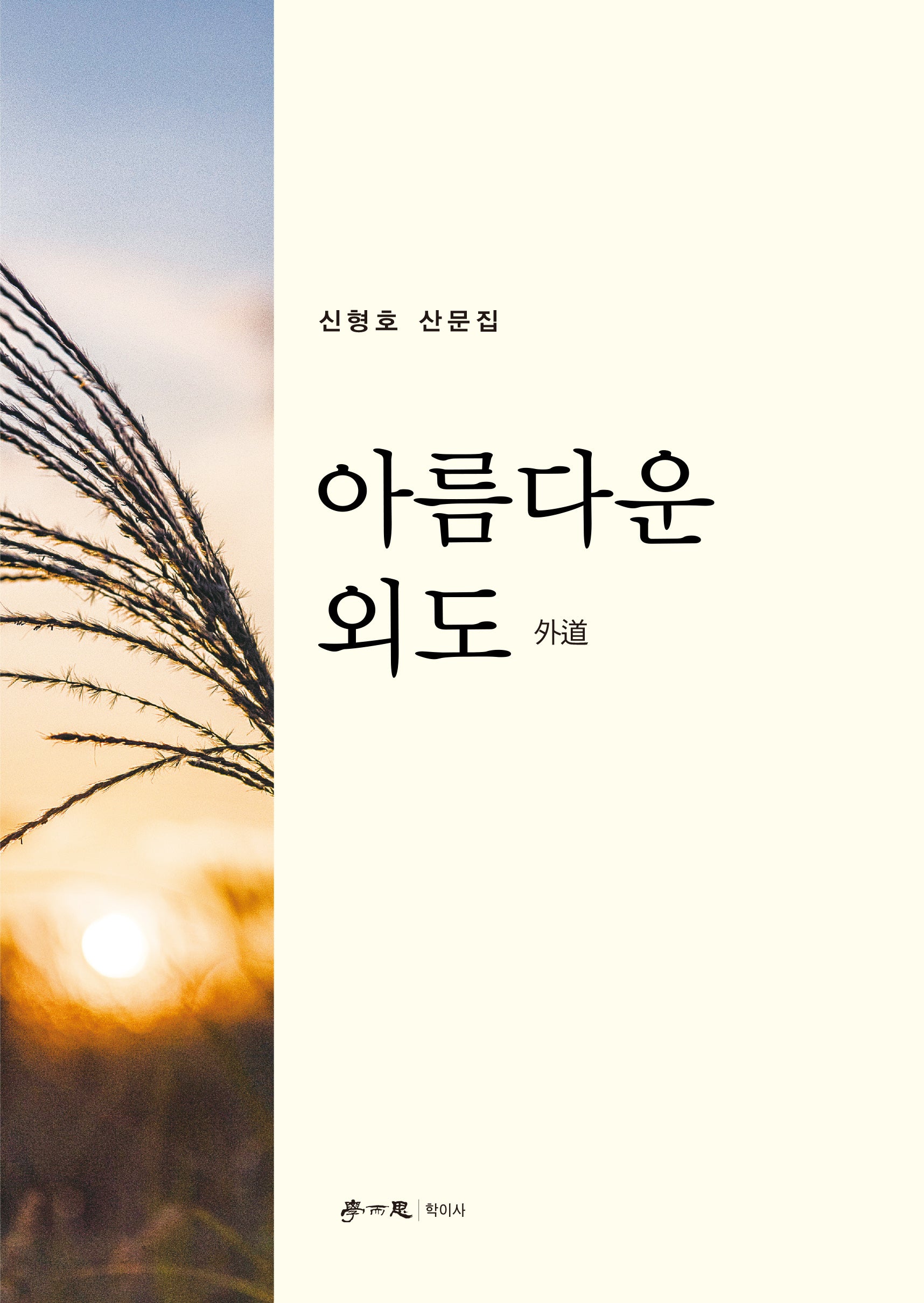 아름다운 외도