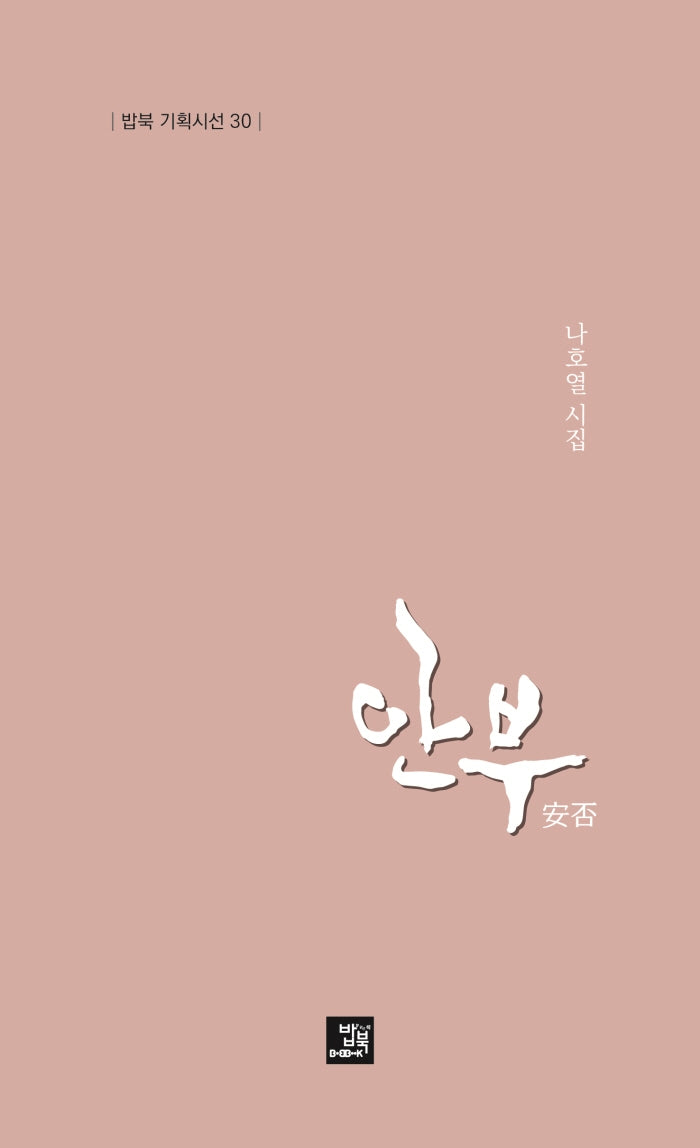 안부(밥북 기획시선 30)