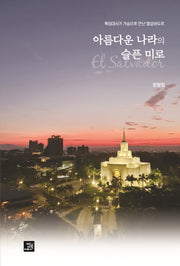 아름다운 나라의 슬픈 미로