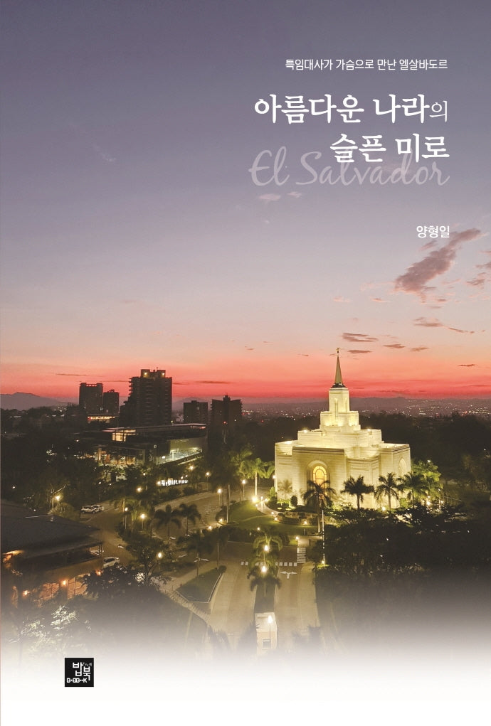 아름다운 나라의 슬픈 미로