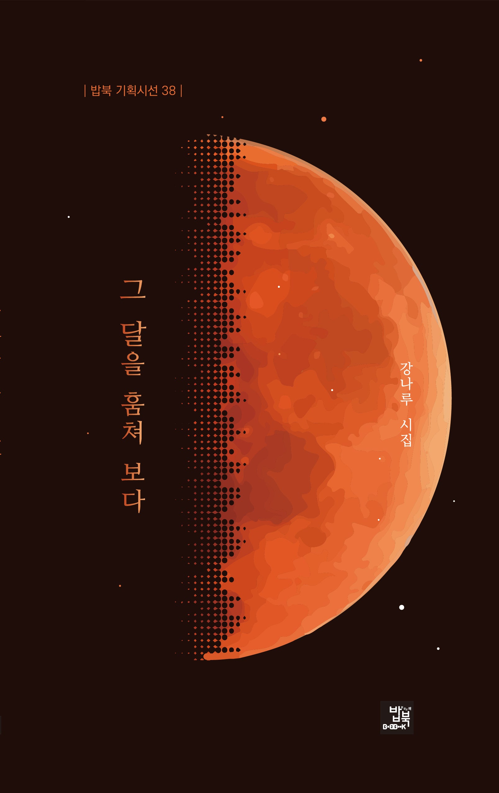 그 달을 훔쳐 보다(밥북 기획시선 38)