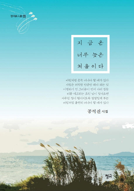 지금은 너무 늦은 처음이다(청어시인선 139)