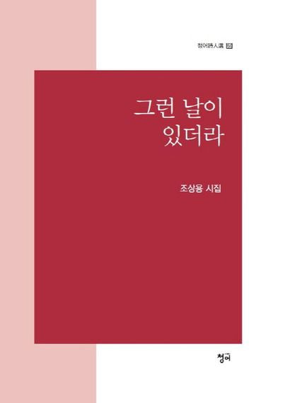 그런 날이 있더라(청어시인선 150)
