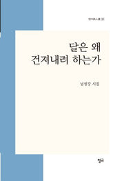 달은 왜 건져내려 하는가(청어시인선 161)