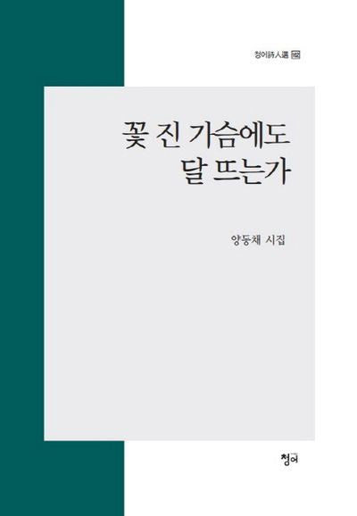 꽃 진 가슴에도 달 뜨는가(청어시인선 162)