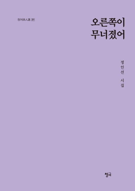 오른쪽이 무너졌어(청어시인선 201)