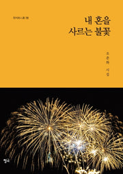 내 혼을 사르는 불꽃(청어시인선 199)