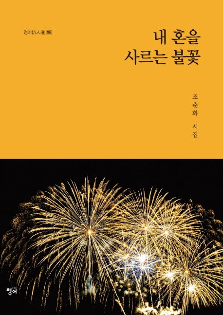내 혼을 사르는 불꽃(청어시인선 199)