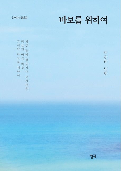 바보를 위하여(청어시인선 220)
