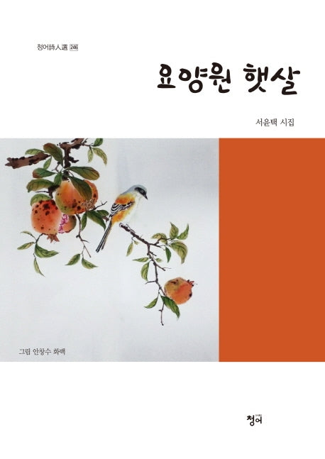 요양원 햇살