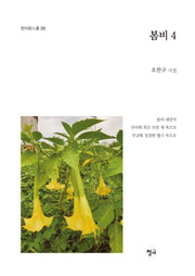 봄비 4(청어시인선 252)