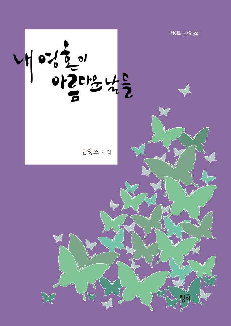 내 영혼이 아름다운 날들(청어시인선 253)