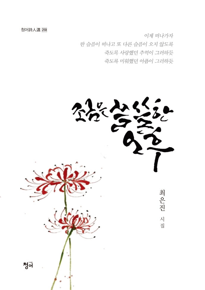 조금은 쓸쓸한 오후(청어시인선 259)