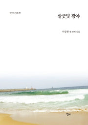 살굿빛 광야(청어시인선 267)