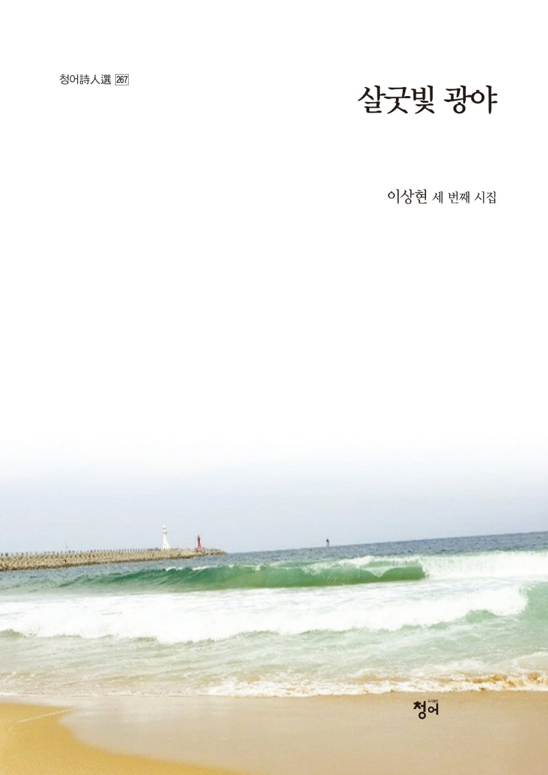 살굿빛 광야(청어시인선 267)