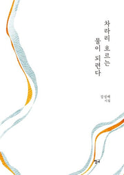 차라리 흐르는 물이 되련다(청어시인선 276)