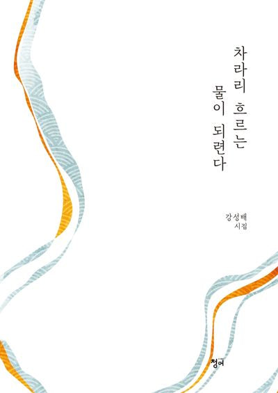 차라리 흐르는 물이 되련다(청어시인선 276)