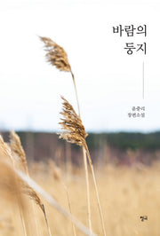 바람의 둥지