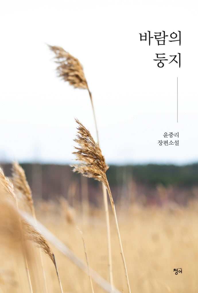 바람의 둥지
