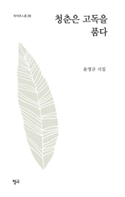 청춘은 고독을 품다(청어시인선 299)