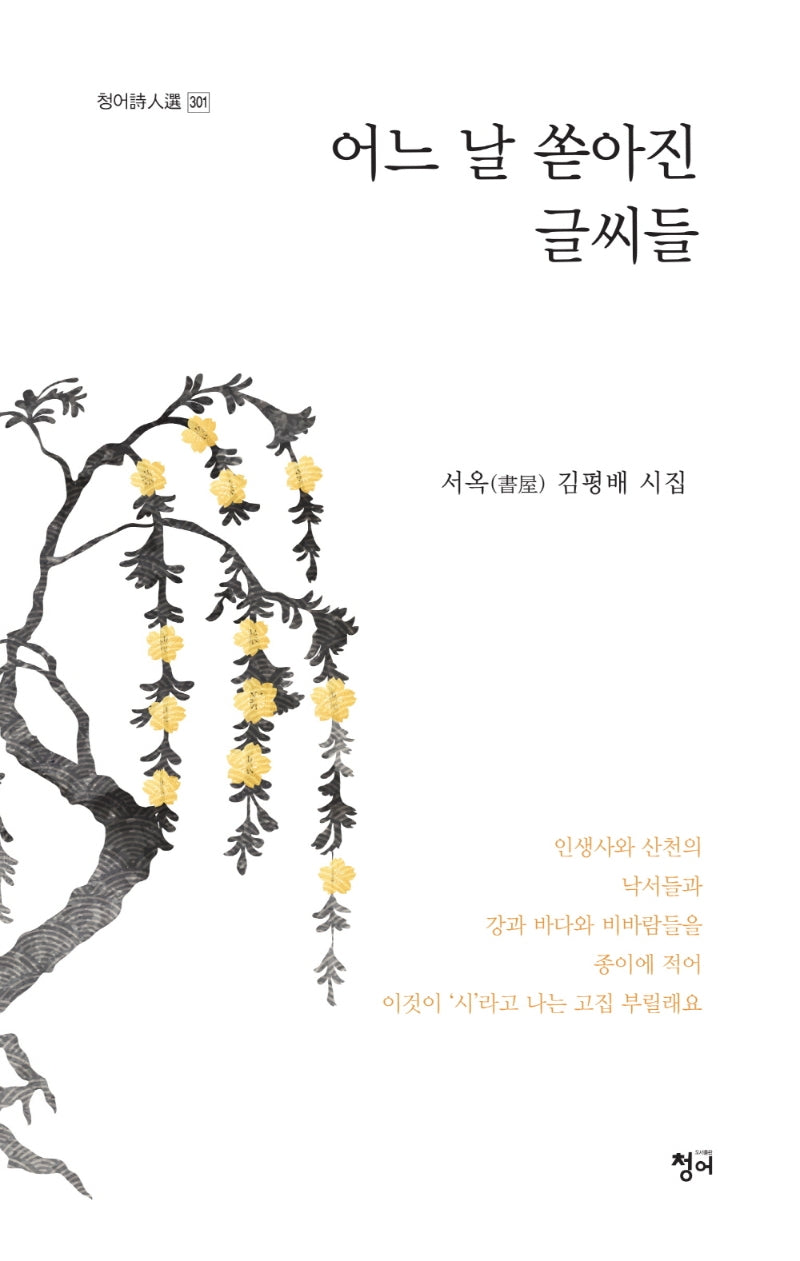 어느 날 쏟아진 글씨들(청어시인선 301)