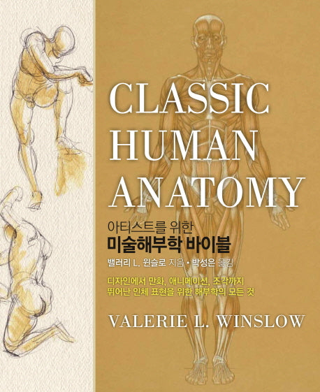 미술해부학 바이블(아티스트를 위한)