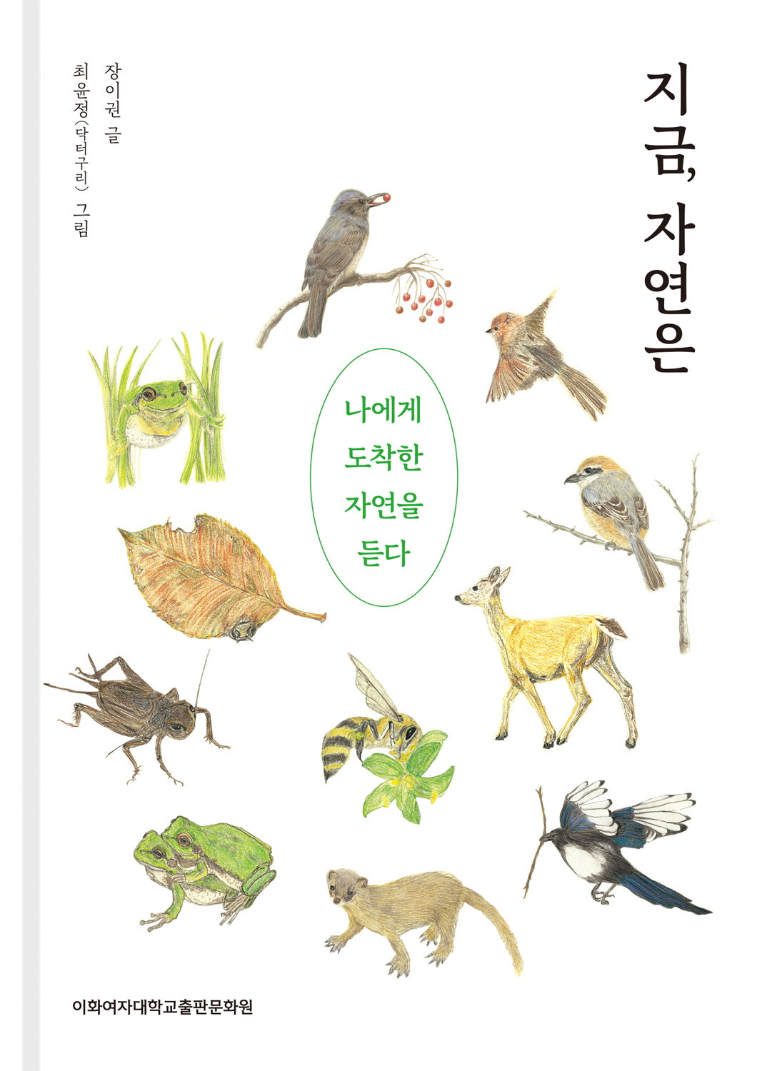 지금, 자연은(양장본 Hardcover)