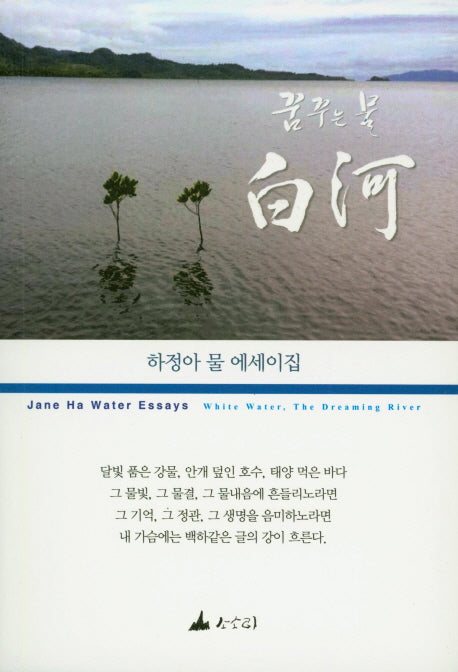 꿈꾸는 물 백하