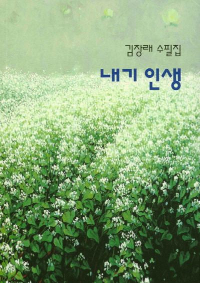 내기인생