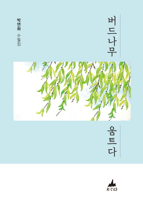 버드나무 움트다