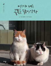 어느새 너는 골목을 닮아간다 (고양이는 고양이다. 2)