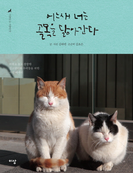 어느새 너는 골목을 닮아간다 (고양이는 고양이다. 2)