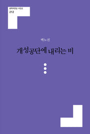 개성공단에 내리는 비(문학의전당 시인선 212)