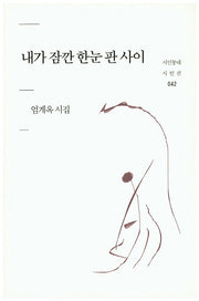 내가 잠깐 한눈 판 사이(시인동네 시인선 42)