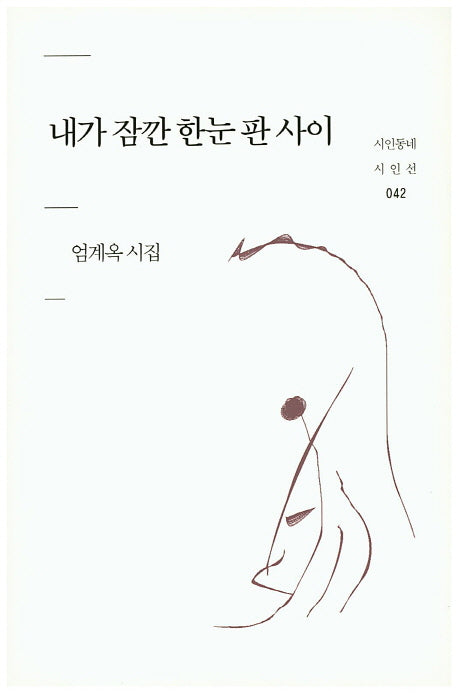내가 잠깐 한눈 판 사이(시인동네 시인선 42)