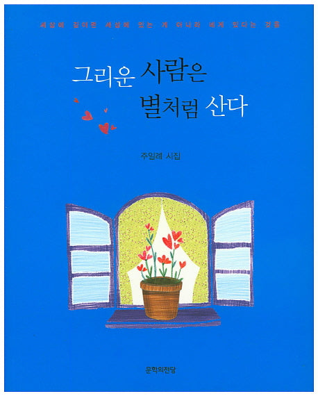 그리운 사람은 별처럼 산다