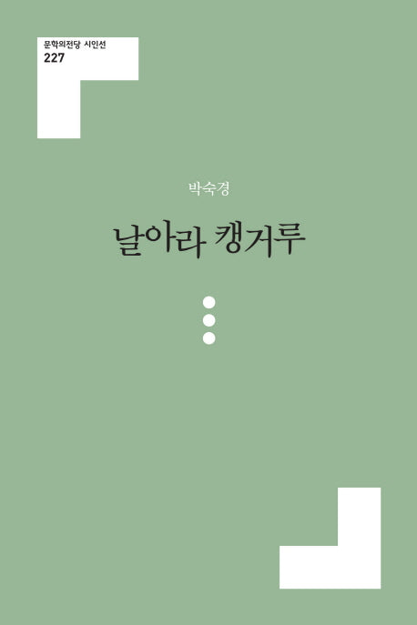 날아라 캥거루(문학의전당 시인선 227)