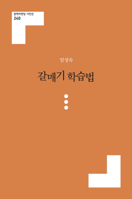 갈매기 학습법(문학의전당 시인선 240)