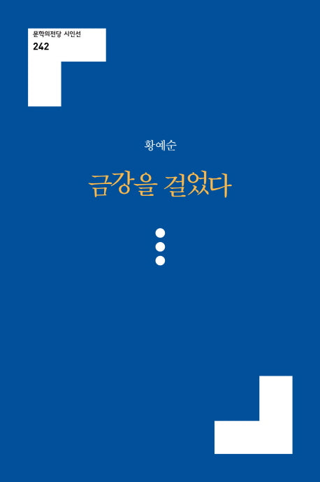 금강을 걸었다(문학의전당 시인선 242)
