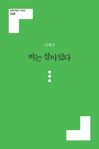 비는 살아있다(문학의전당 시인선 248)