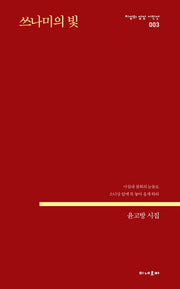 쓰나미의 빛(지성의 상상 시인선 3)
