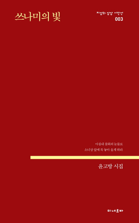 쓰나미의 빛(지성의 상상 시인선 3)