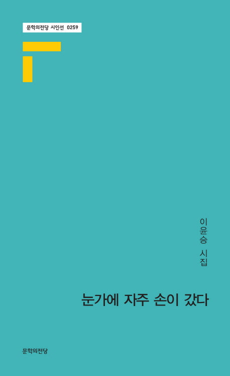 눈가에 손이 자주 갔다(문학의전당 시인선 259)