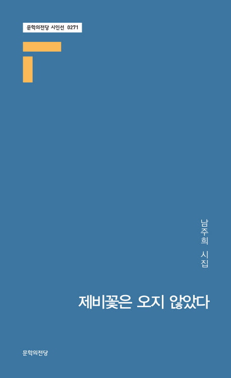 제비꽃은 오지 않았다(문학의전당 시인선 271)