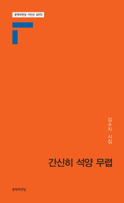 간신히 석양 무렵(문학의전당 시인선 273)