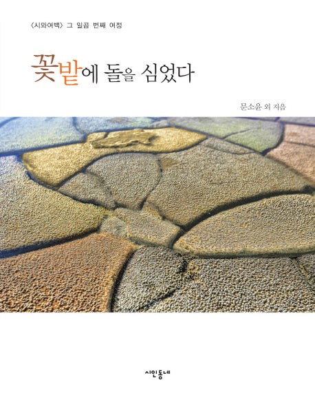 꽃밭에 돌을 심었다