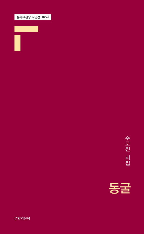 동굴(문학의전당 시인선 276)