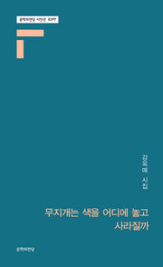 무지개는 색을 어디에 놓고 사라질까(문학의전당 시인선 297)