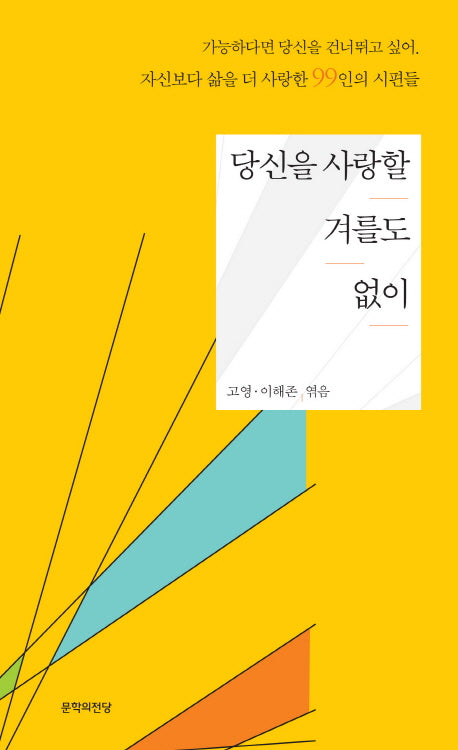 당신을 사랑할 겨를도 없이(문학의 전당 300)